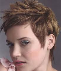 http://t2.gstatic.com/images?q=tbn:LuryE73s5beFoM:http://shortlonghairstyles.com/images1/2009/11/Short-Funky-Hairstyles.jpg&t=1