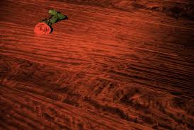 Bubinga wood floor Bubinga wood floor