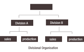 organisational structures