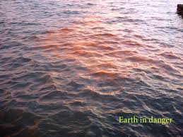 �Red tide� is a common name