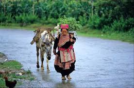 Leave Sapa for Bac Ha