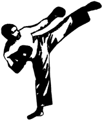 ماهي ملاكمة الركل kickboxing  Logo