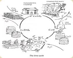 calcium cycle