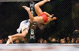 Back to St Pierre Vs Koscheck: