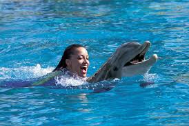 Discovery Cove image #5