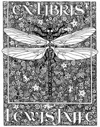 dragonfly illustrations