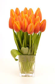 orange tulip bouquet