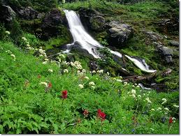على.الطبيعة.كل.شي.جميل Wildflowers%2520and%2520Cool%2520Waters-Mount%2520Adams-Washinton