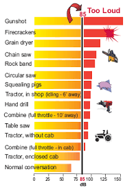 Decibel levels for each item