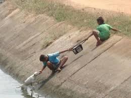 Ver imagem em tamanho real