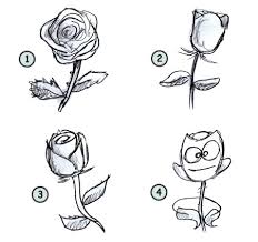 how to draw rose
