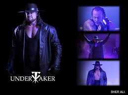 اكبر مكتبة صور مصارعين Undertaker