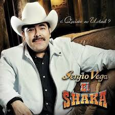 SERGIO VEGA - Quien es usted