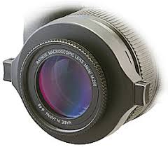 Raynox DCR-150 43mm (52 to 67mm Adapter) 2.5x Super Macro Lens