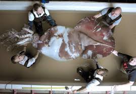 Giant Squid AND 2 Colossal