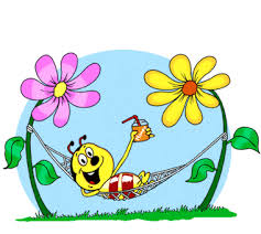 Afficher l'image en taille réelle