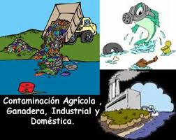 Ver imagen en tamaño completo