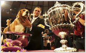 Watch Westminster Dog Show