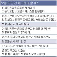 보험비교사이트를 이용하시고