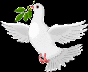 صور طيور متحركة رائعة Animated-dove