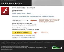 Adobe Flash Player (its