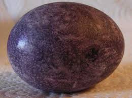 ERIKAA'S FORUM!!! Purple-eggs