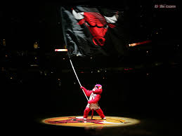 2010-2011 Chicago Bulls