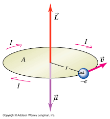    :         29_22_Magnetic_dipole_moment