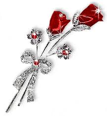 Ruža SparkleRoses