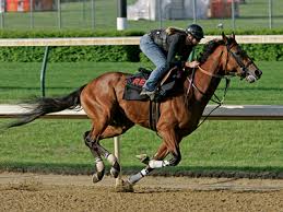 Big Brown is Preakness Winner