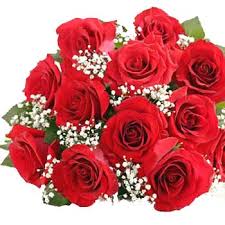 pic red roses