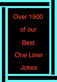 funny one liner jokes