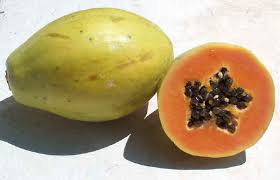 papaya picture by rojomebre -