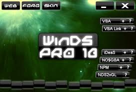win ds pro Windsp10