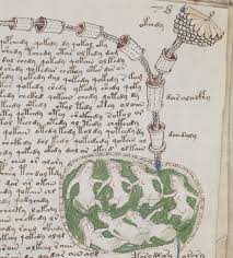 the Voynich manuscript has