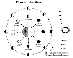 Moon Phase Images