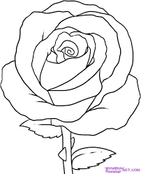 simple rose drawings