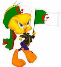 المنتخب الجزائري 2583057407_1