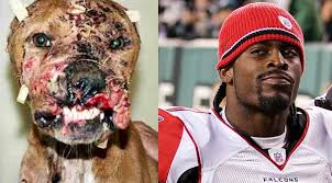 Michael Vick the dog warrior