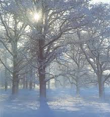 Προβολή εικόνας πλήρους μεγέθους