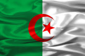 كلنا جزائريون في كاس العالم 8382d1259025196