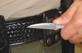 buck folding knife