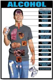 Effects of Alcohol