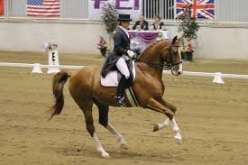 CNE Dressage Classic.