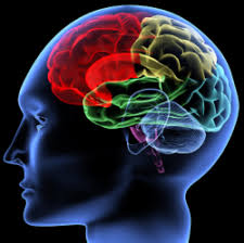 in Huntingtons Disease,