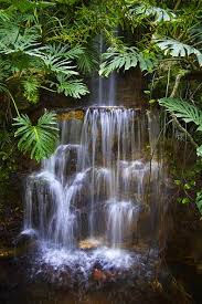 Rainforest Waterfall 20060416