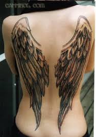 angel wing pictures