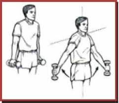deltoid exercises