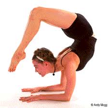 what is asana yoga physical
