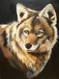 coyote paintings